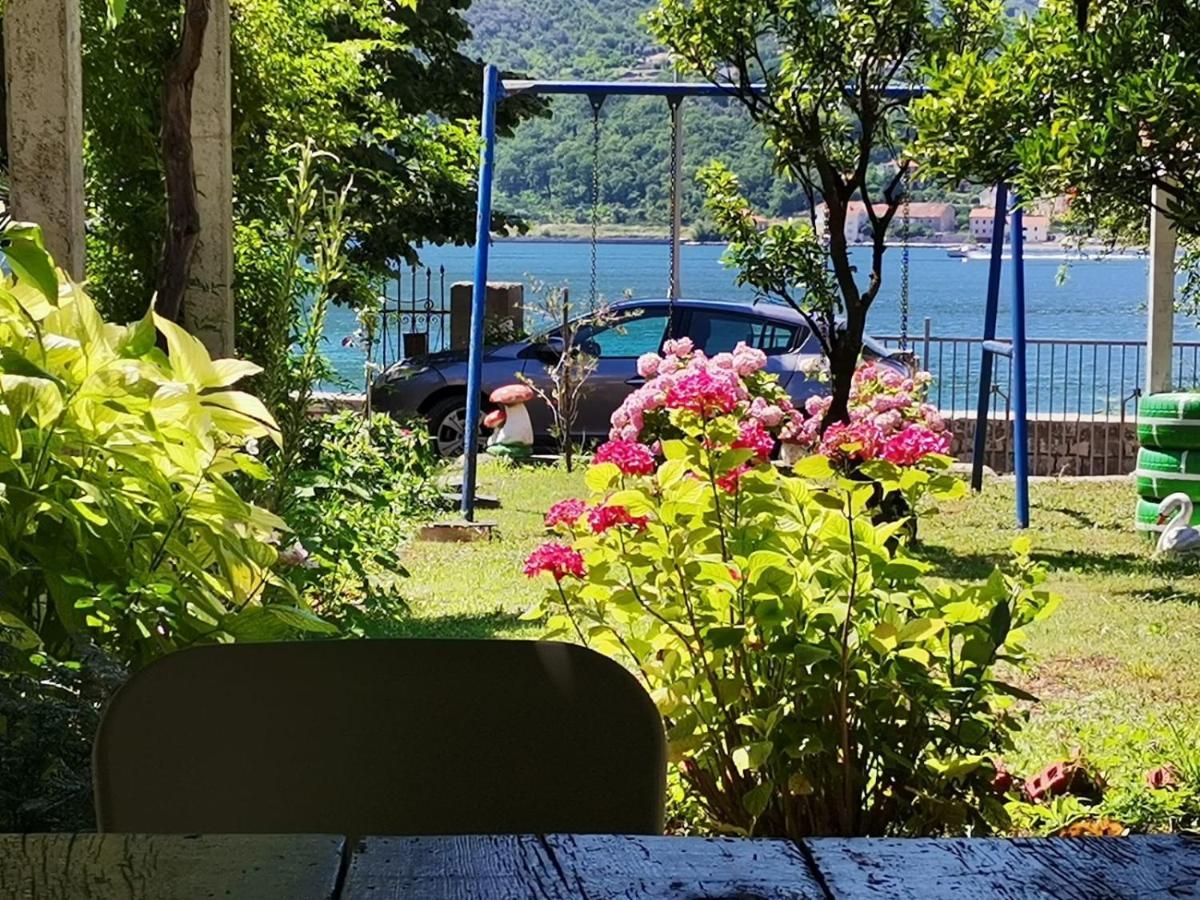 Apartments Vido Kotor Rom bilde