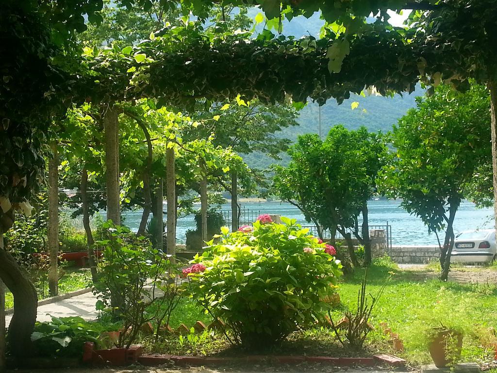 Apartments Vido Kotor Rom bilde